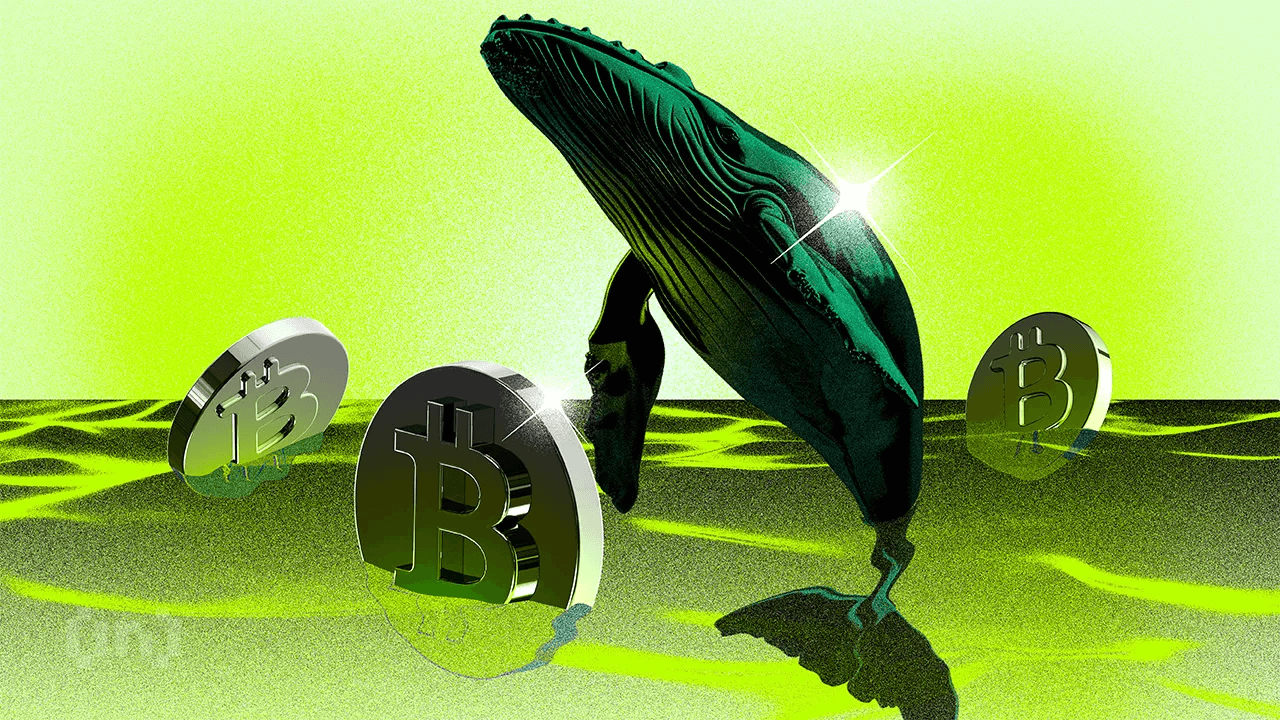 दो Satoshi युग के वॉलेट्स ने 14 साल की चुप्पी के बाद 20,000 Bitcoin ट्रांसफर किए